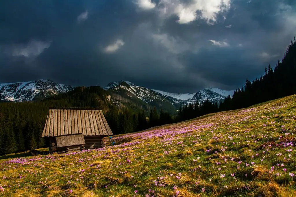 Smoky Mountain Cabins